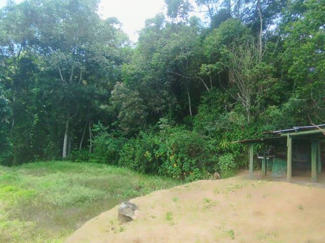 Área para Venta en Perez Zeledon - 5